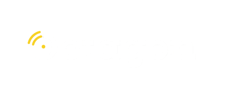 Octagon Content
